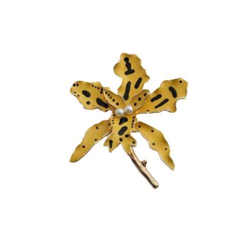 סיכת סחלב נמרי