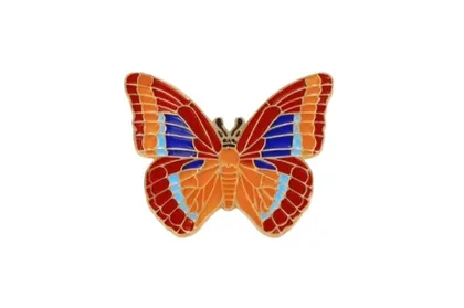 סיכת פרפר ארז