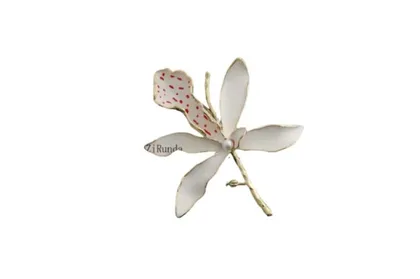 סיכת סחלב לבן ורוד