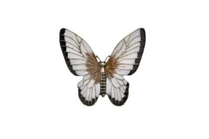 סיכת פרפר לילית