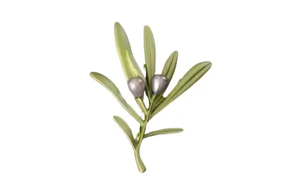 סיכת רוזמרין