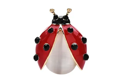 סיכת חיפושית ספיר