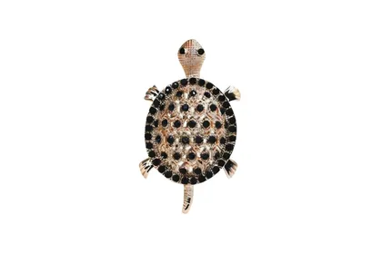 סיכת צב אביתר