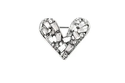 סיכת לב שניק