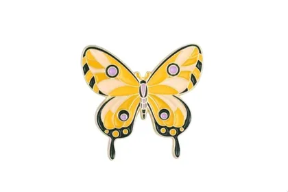 סיכת פרפר קייצי