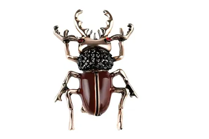 סיכת ביטל חומה