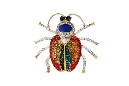 סיכת חיפושית ביין