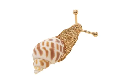 סיכת חילזון עופרי