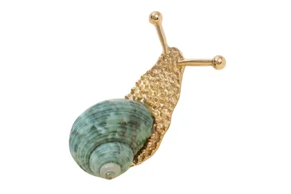 סיכת חילזון נדב