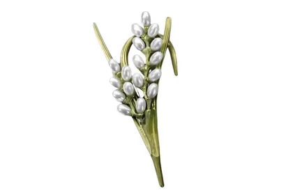 סיכת שושן העמק