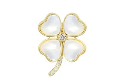 סיכת תלתן יונה