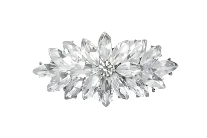 סיכת כסף אמיל