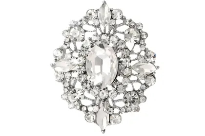 סיכת כסף רועי