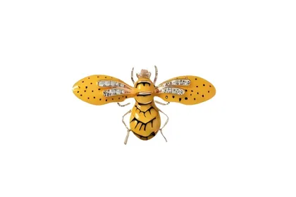 סיכת דבורה יולי