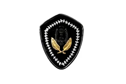 סיכת עיטור שחורה