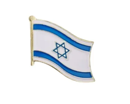 סיכת דגל ישראל