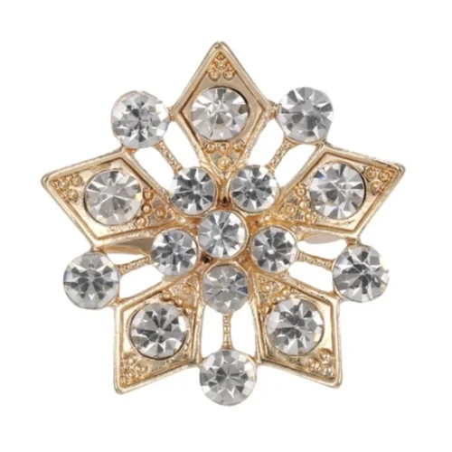 סיכת פתית שלג מחומש