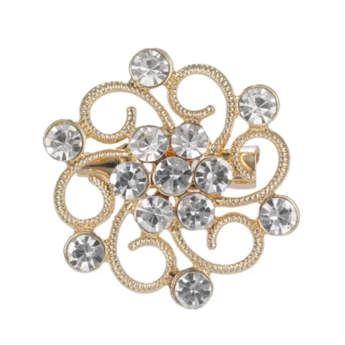 סיכת 6 הסנפירים