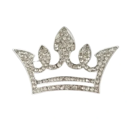 סיכת כתר שביט כסף