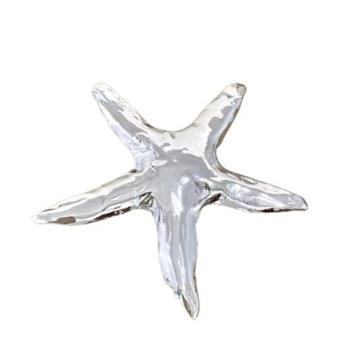 סיכת כוכב הים כסף