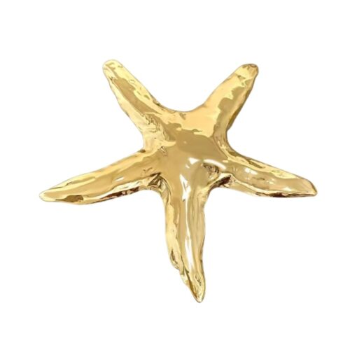 סיכת כוכב הים זהב